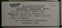 Image Associated With the Occurence